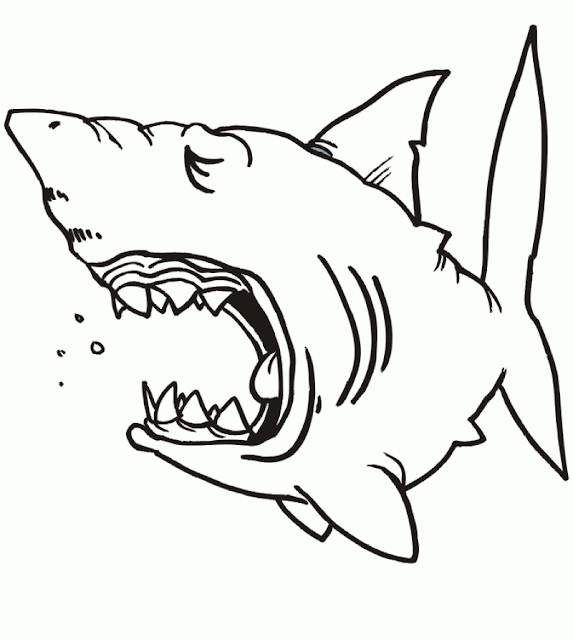 Top 10 Free Printable Evil Shark Coloring Pages