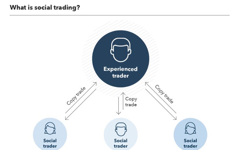 Nguyên tắc làm việc của social trading