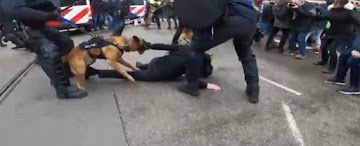 Manifestantes contra vacinas Covid em Amsterdã brutalizados por policiais e cães policiais