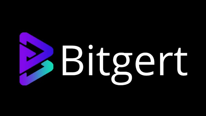What is Bitgert (Brise) Is it a scam or legit crypto coin?