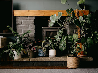 An assortment of potted plants on a hearth in front of a fireplace.