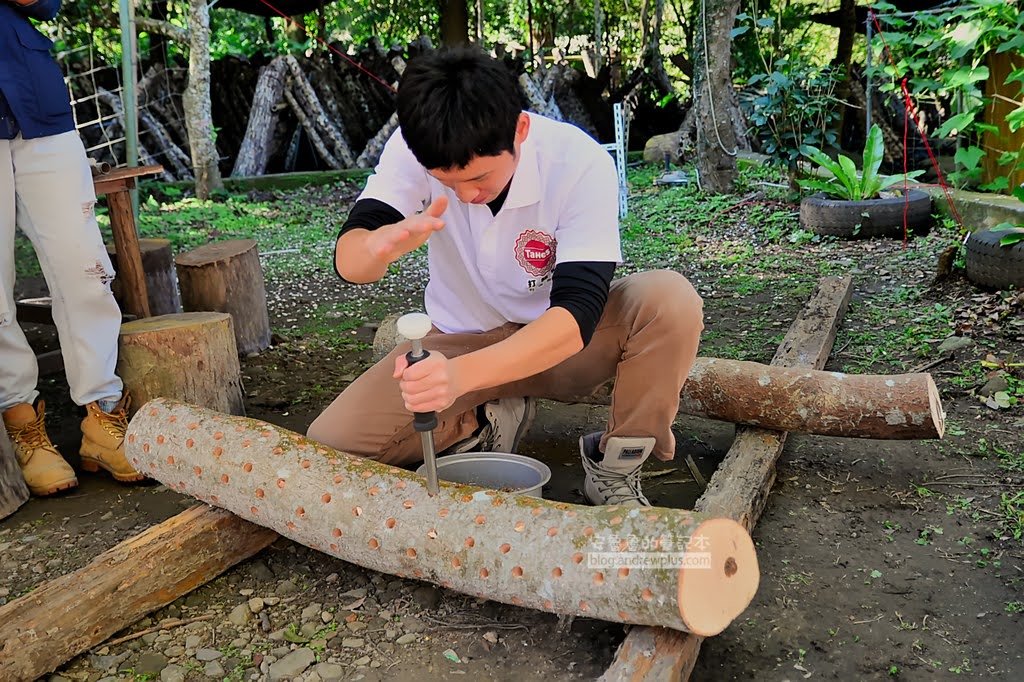 蓬萊溪護魚步道,八掛力DIY,苗栗南庄景點,南庄好玩