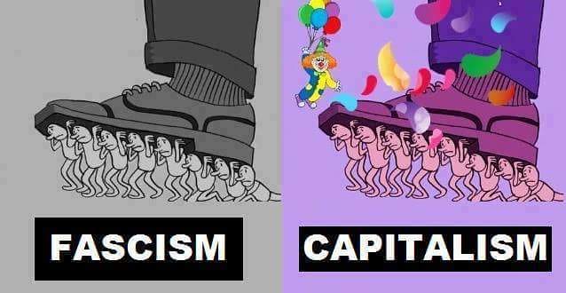 faşizm ve kapitalizm ayrımı