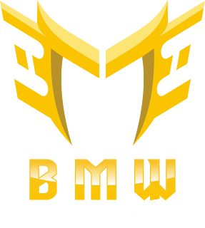 BMW Esports Logo Vector Format (CDR, EPS, AI, SVG, PNG)