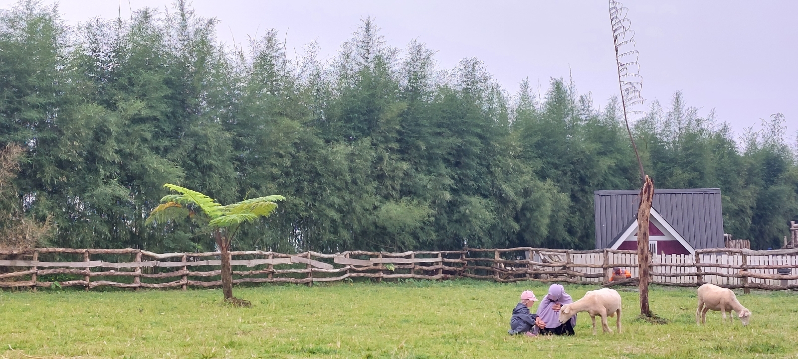 Gambar