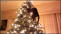 Xmas Cat GIF • DES-TRUC-TiON! Naughty cat wildly destroying the Christmas 🎄 tree. CATastrophe! (4-7)