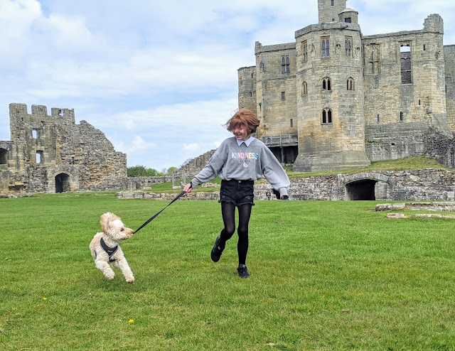 10 Dog Friendly Annual Passes in North East England - warkworth castle