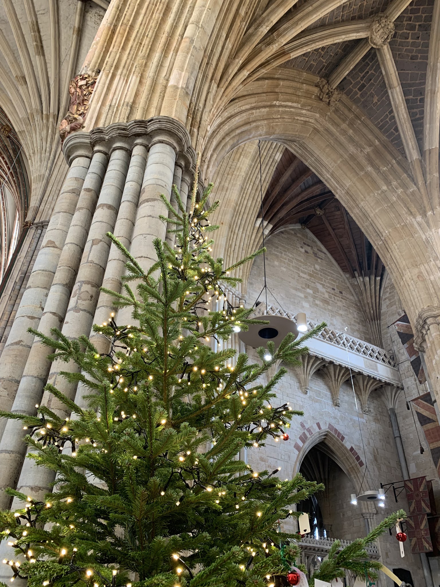 This photo shows a christmas tree draped with fairy lights with Exeter Cathedral as the backdrop