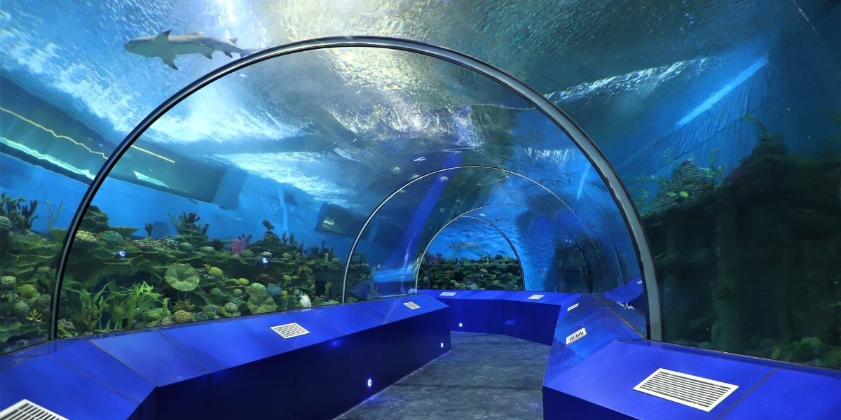 India Largest Fish Aquarium in Ahmedabad Science City