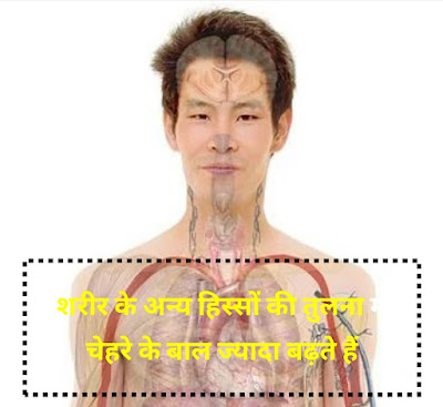 human Body Information In Hindi