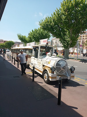 Tourist buggy train