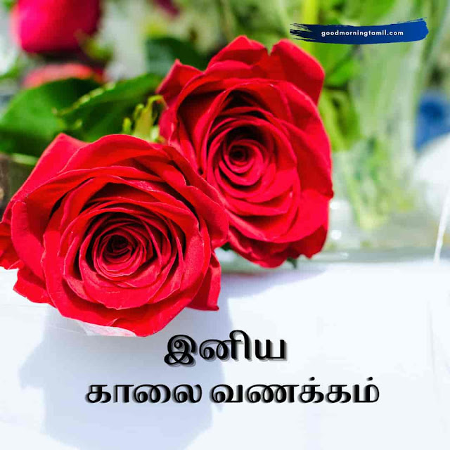 இனிய காலை வணக்கம் தத்துவம்  good morning tamil quotes