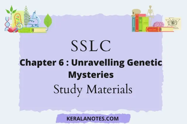 Kerala Syllabus SSLC Class 10 Biology Notes Chapter 6 Unravelling Genetic Mysteries (EM & MM)