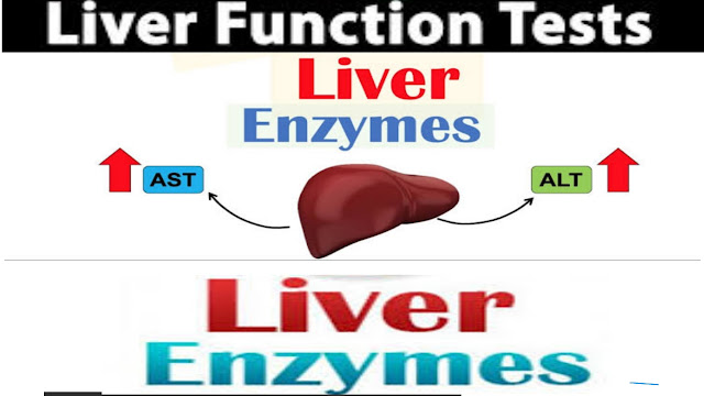 low liver enzymes,What causes low enzymes in the liver?,How can I raise my liver enzymes?,What does a low ALT level mean?,Low liver enzymes symptoms,Low liver enzymes causes, Liver enzymes levels chart,Is low liver enzymes bad,What are the symptoms of elevated liver enzymes