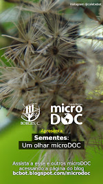 Sementes um olhar microdoc