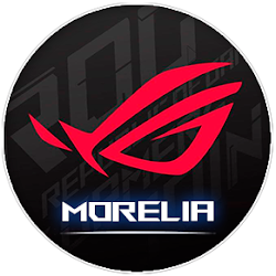 REPUBLIC OF GAMERS MORELIA