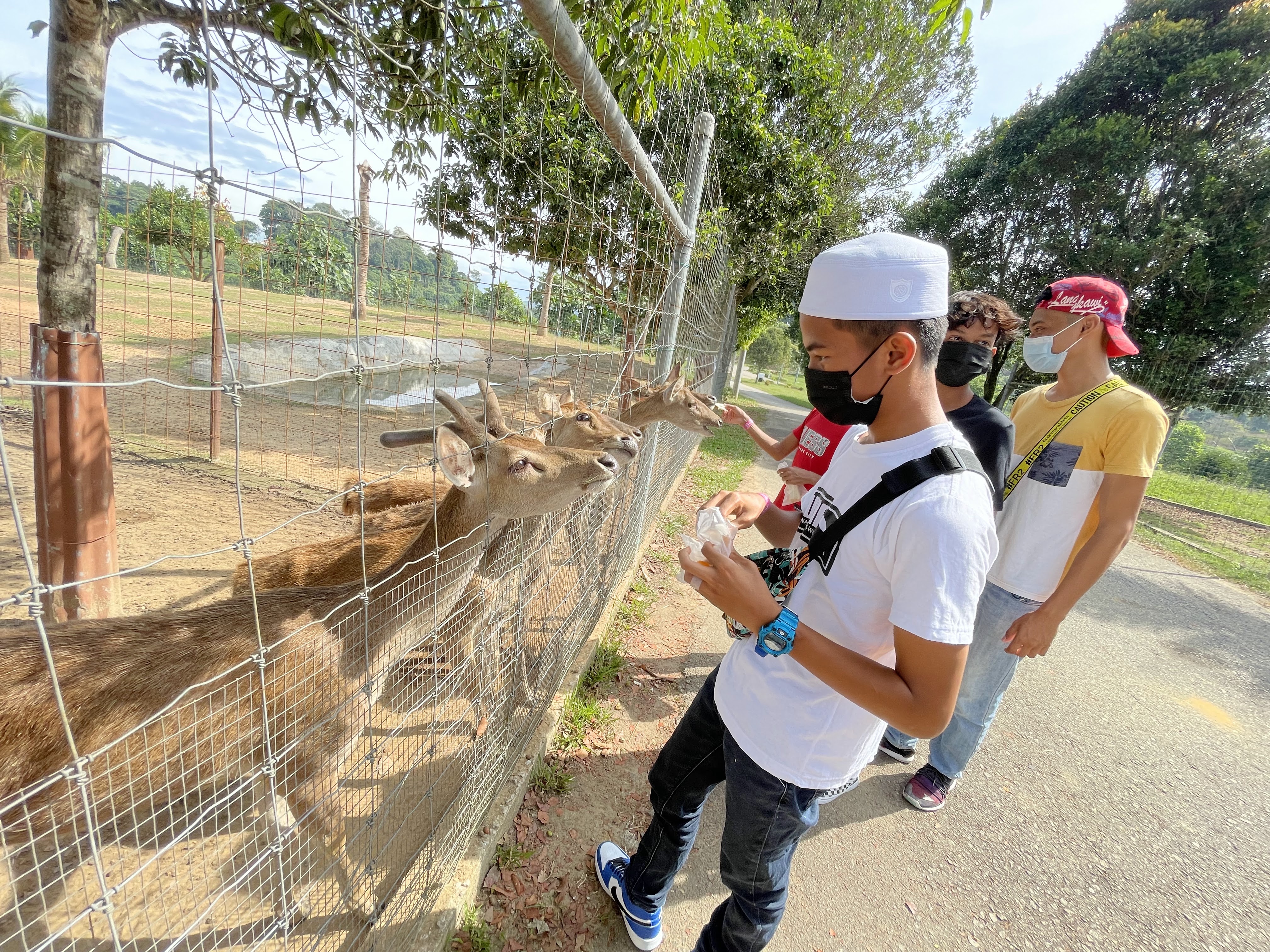 SELANGOR FRUIT VALLEY (SFV) TAWAR PENGALAMAN KESERONOKAN ALAM BERTANI