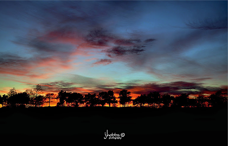 Brazos County Texas Sunset