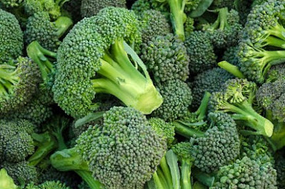 Broccoli is a crucifer vegetable is known as Brassica cruciferous is related to cabbage.