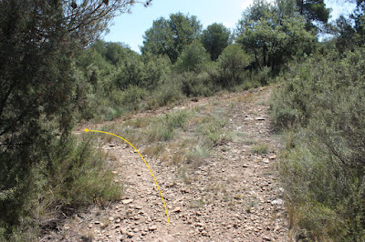 GR-7 BELLPRAT A JORBA (PONT DEL GANXO), corriol en direcció a l'Obaga de Janet