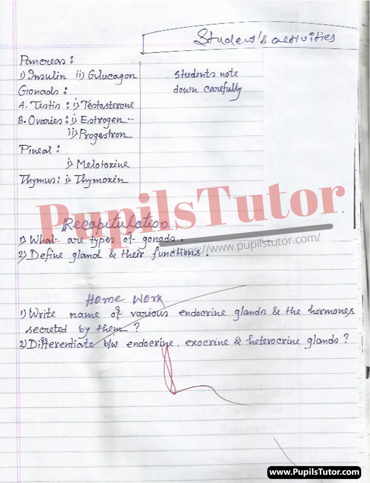 Lesson Plan On Endocrine Glands For Class 8 and 9th.  – [Page And Pic Number 5] – https://www.pupilstutor.com/