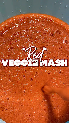 making red vegetable mash for dogs, 30 second tik tok, tiktok / instagram reel