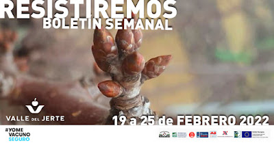 VALLE DEL JERTE, BOLETÍN SEMANAL (19 a 25 de febrero de 2022)