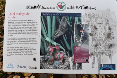 Destroyed English Language Sentier Transcanadien Sign Quebec.