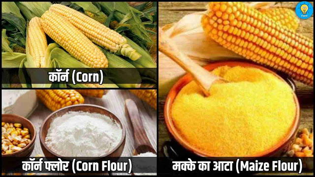 corn flour ko hindi me kya kahate hai