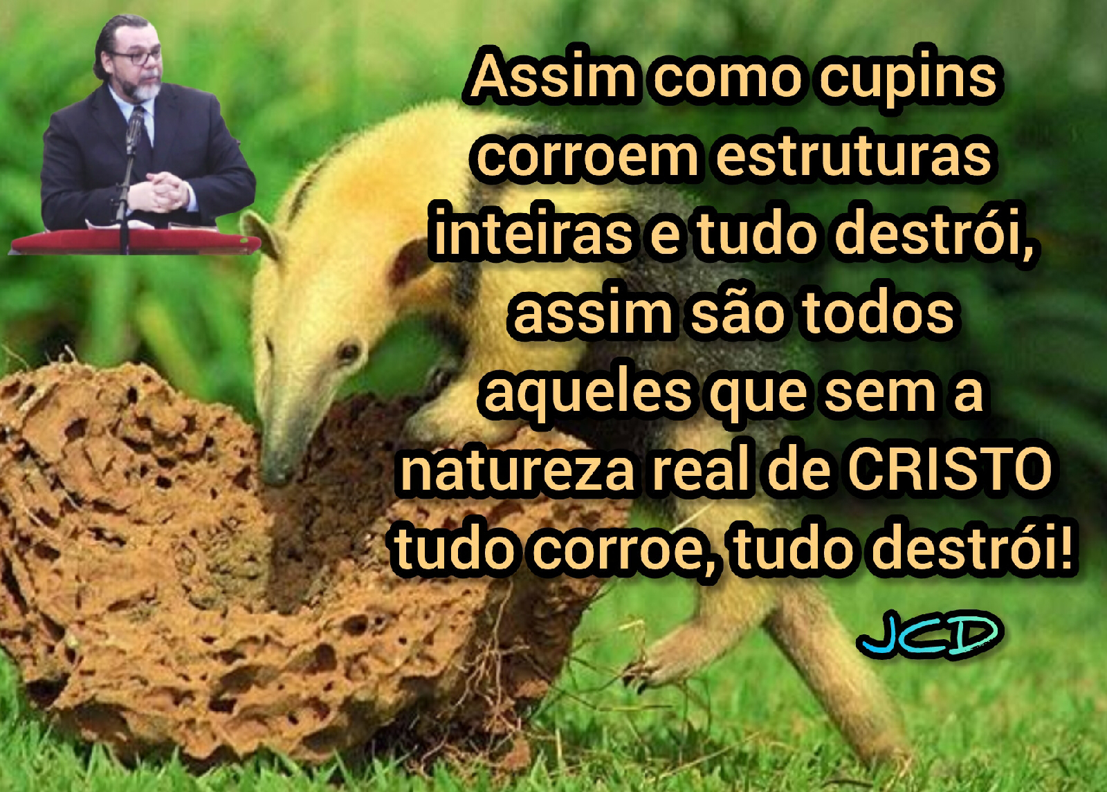 Imagem