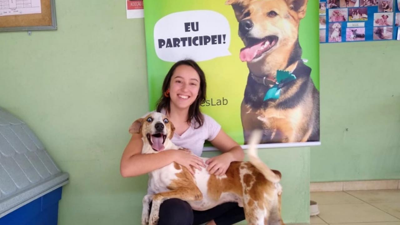 Experiência de vida molda a interação de cães com humanos