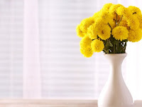 Kenali 6 Jenis Material Vas Bunga yang Cantik dan Beragam!
