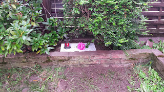 Kater Shejian's Grab zwischen Rhododendron und Heckenmyrthe