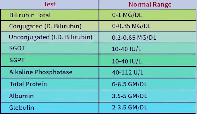 liver function test,What is the main test for liver function?,What are the 3 liver function tests?,What are the symptoms of poor liver function?,What does it mean if your liver function test is high?,Liver enzymes levels chart,AST blood test,ALT blood test