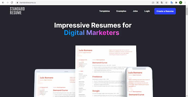 Standard Resume - The best websites to create a free resume