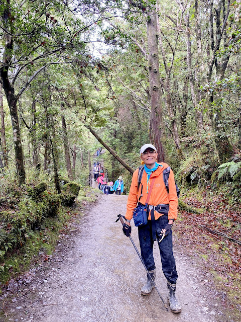 太平山山毛櫸步道