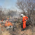 Bombeiros combatem incêndio em comunidade rural de Campo Formoso