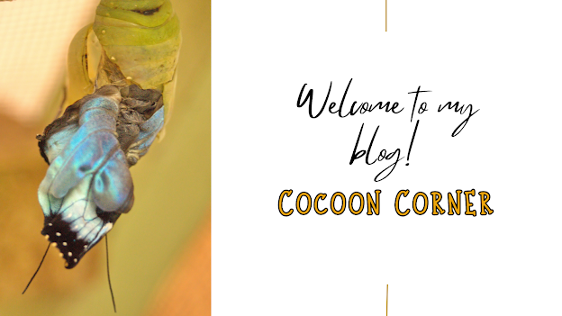 Cocoon Corner