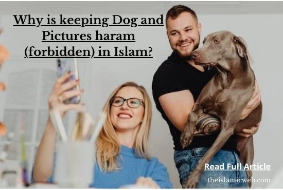 are dogs considered as haram in islam