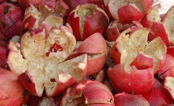 10 Incredible Home Remedies for Boils and Pimples That Actually Work