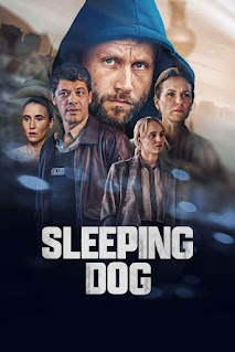 Download Sleeping Dog (2023) S01 Dual Audio Complete 1080p WEBRip