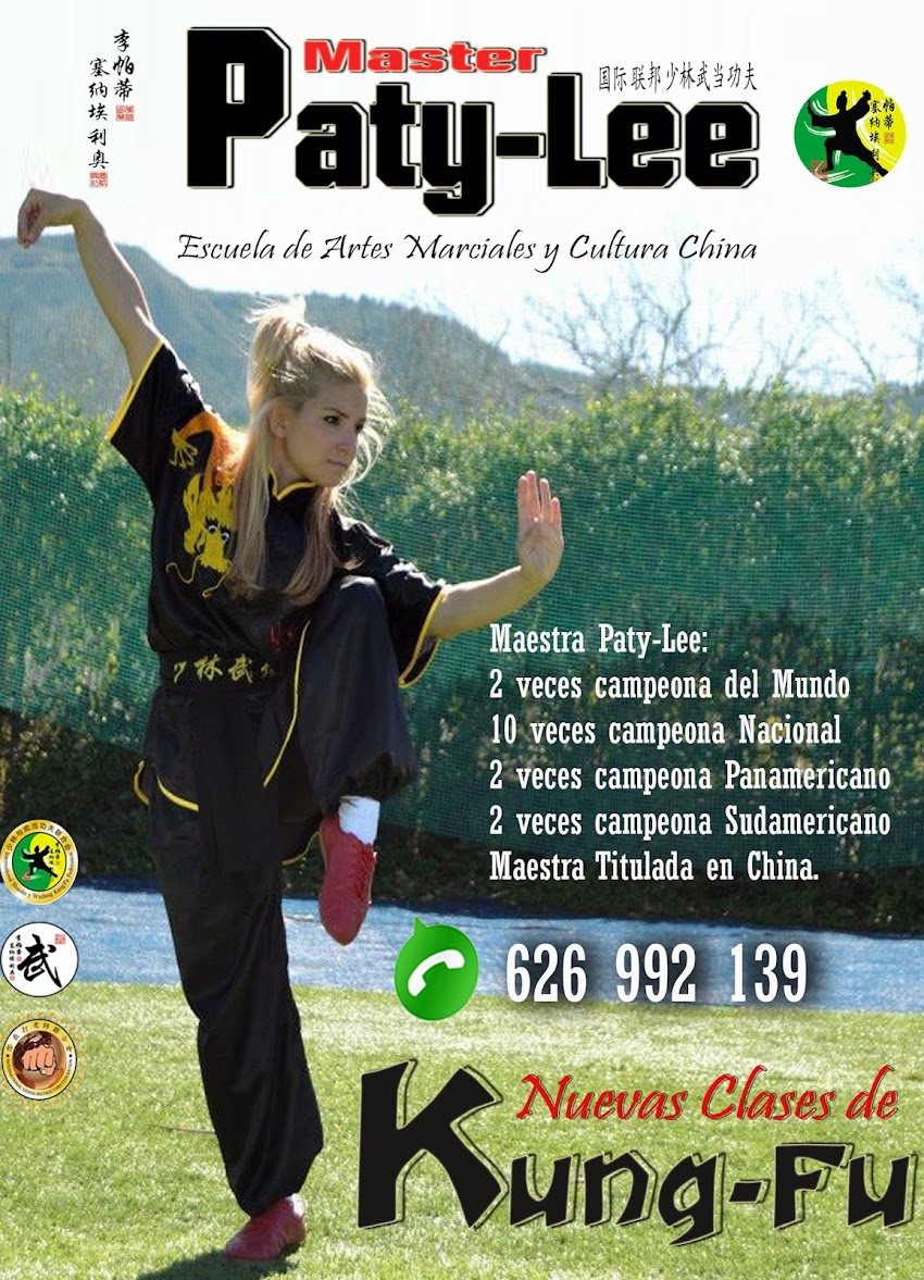 Clases y Cursos de Kung Fu / Wing Chun / Sanda / Defensa Personal. Móvil: 626992139.