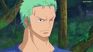 ワンピースアニメ ゾウ編 759話 ロロノアゾロ | ONE PIECE Episode 759