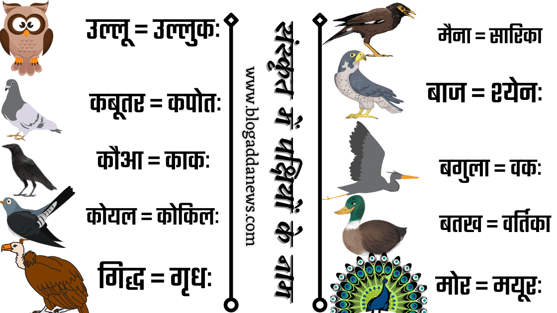 Birds Name in Sanskrit - संस्कृत में पक्षियों के नाम