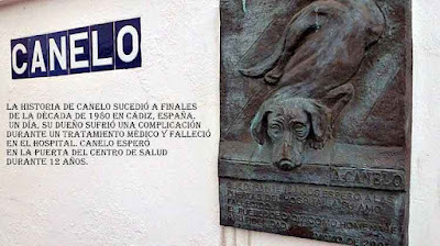 La historia del perro Canelo