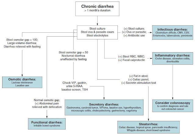Diagnostic schema for chronic diarrhea