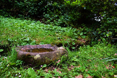 Laois Holy Wells