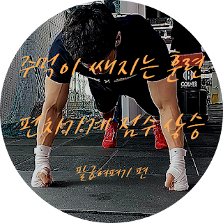펀치기계 점수 잘 나온다 펀치 주먹 푸시업