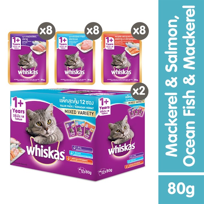 WHISKAS Pouch Multipack Mackerel, Ocean Fish, Mackerel & Salmon 80gm x 2 boxes  (24 Packs) Wet.