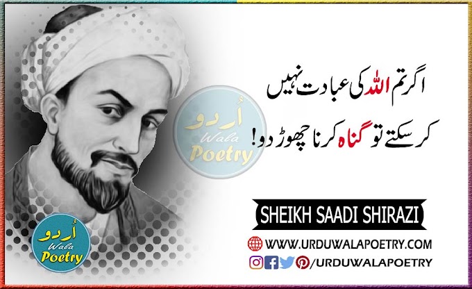 Top 20 Best Famous Sheikh Saadi Shirazi Love Quotes in Urdu